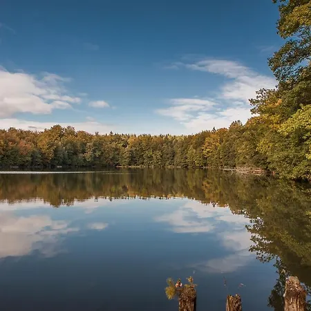 Saunowisko W Kragu - Niebieski I Zolty
