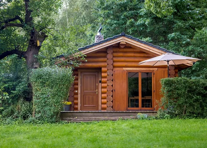 Saunowisko W Kragu - Niebieski I Zolty * Krąg