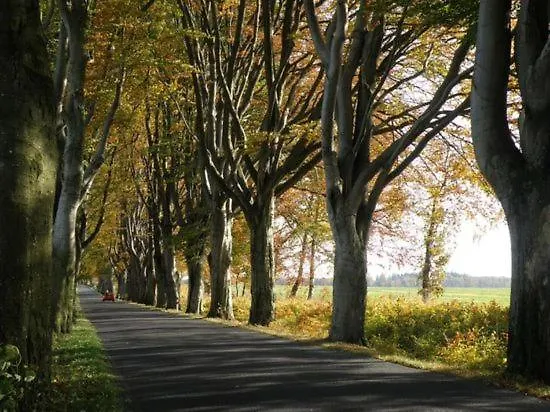 Saunowisko W Kragu - Niebieski I Zolty Krąg