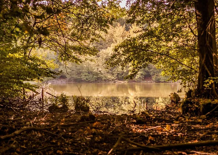 Saunowisko W Kragu - Niebieski I Zolty Villa *