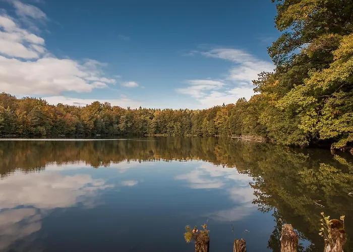Saunowisko W Kragu - Niebieski I Zolty